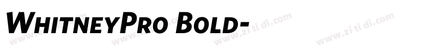 WhitneyPro Bold字体转换